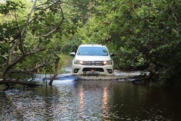 WhatsApp Image 2024-10-04 at 14_44_24_6576e732 - C